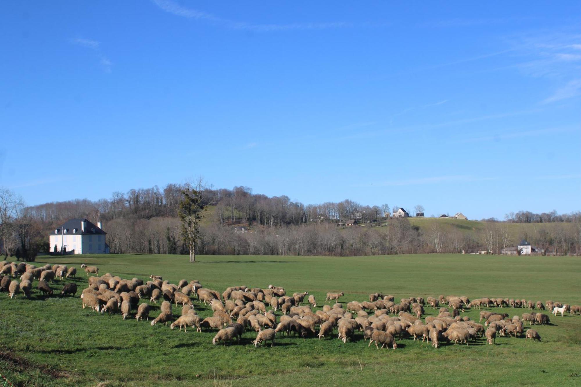 Gite Maison Chourrist Capbis Luaran gambar